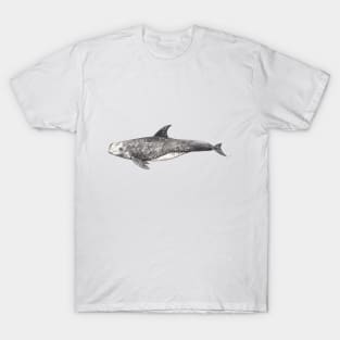 Risso´s dolphin Grampus griseus T-Shirt